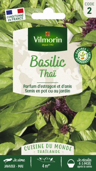 Aromatiques - Basilic Thaï - Cuisine du Monde - PACKAGING_RECTO
